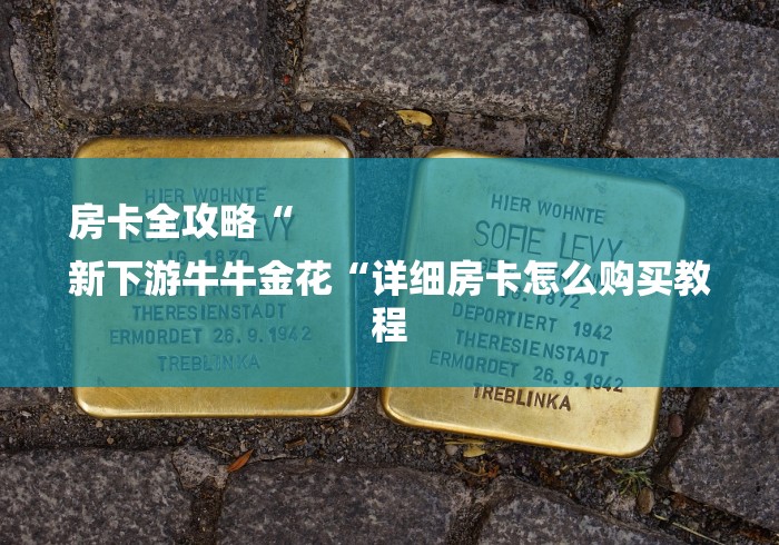 房卡全攻略“
新下游牛牛金花“详细房卡怎么购买教程 房卡全攻略“
新下游牛牛金花“详细房卡怎么购买教程