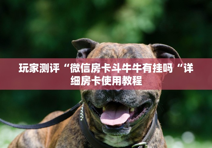 玩家测评“微信房卡斗牛牛有挂吗“详细房卡使用教程