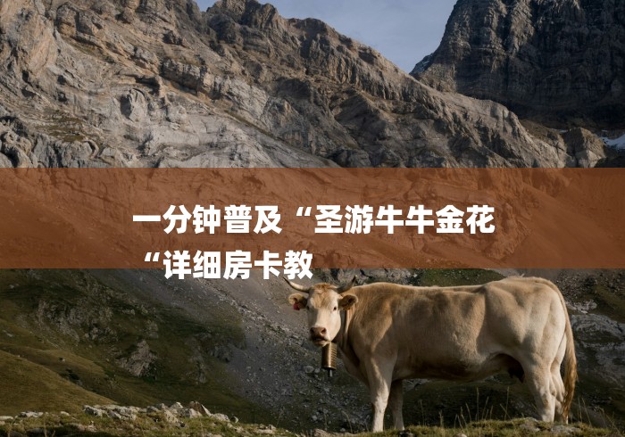 一分钟普及“圣游牛牛金花
“详细房卡教 一分钟普及“圣游牛牛金花
“详细房卡教