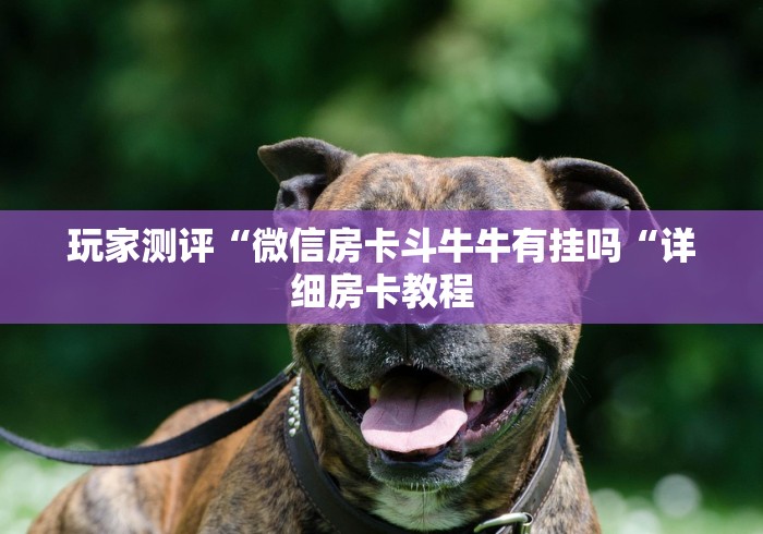 玩家测评“微信房卡斗牛牛有挂吗“详细房卡教程