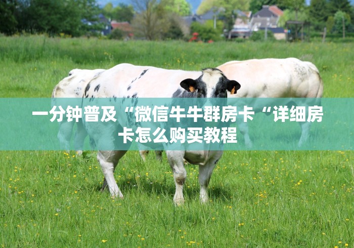 一分钟普及“微信牛牛群房卡“详细房卡怎么购买教程