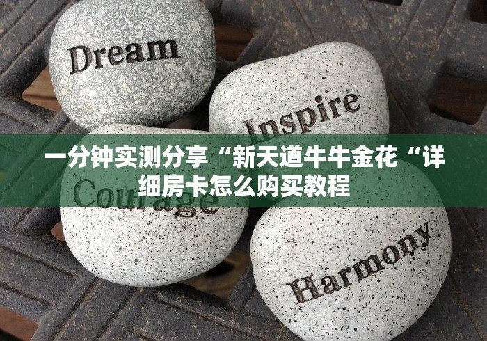 一分钟实测分享“新天道牛牛金花“详细房卡怎么购买教程