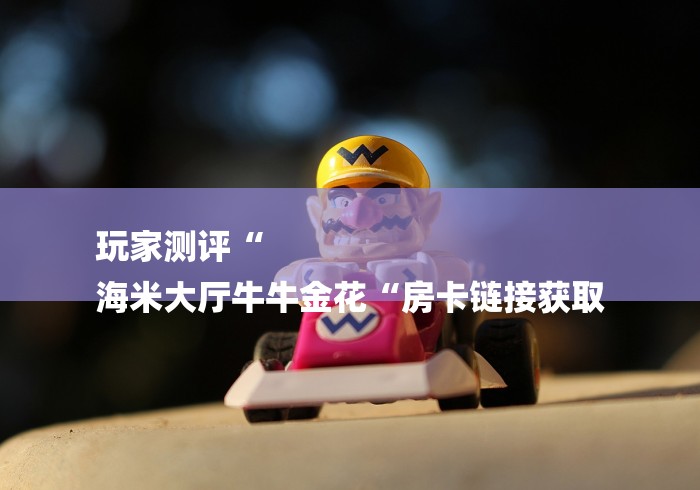 玩家测评“
海米大厅牛牛金花“房卡链接获取