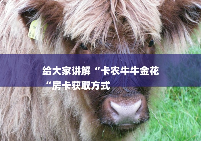 实测房卡教程“
白虎大厅牛牛金花“房卡链接获取