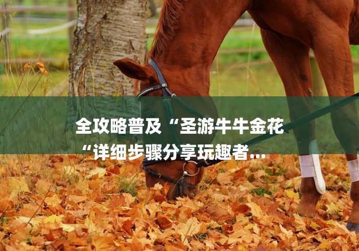 全攻略普及“圣游牛牛金花
“详细步骤分享玩趣者...