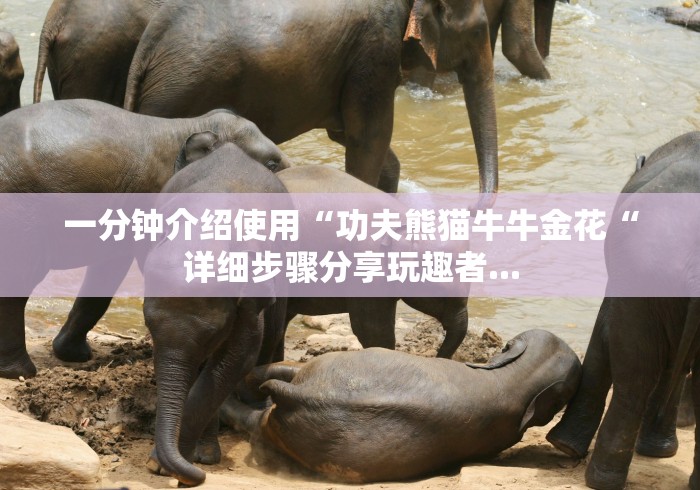 详细房卡教学“新九五牛牛金花
“轻松获取房卡全渠道