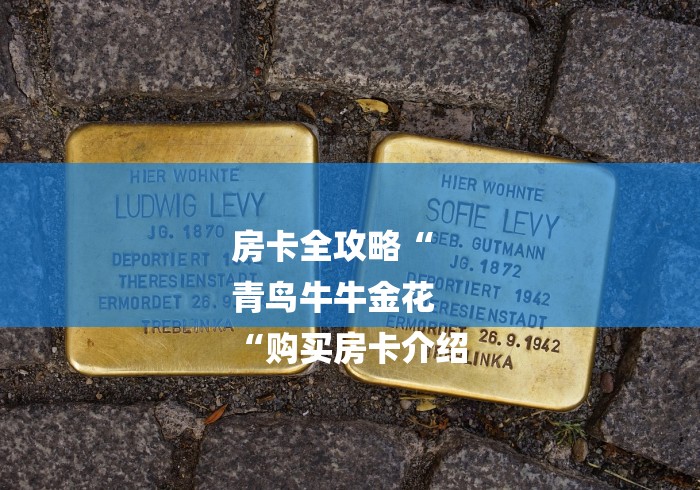 房卡全攻略“
青鸟牛牛金花
“购买房卡介绍