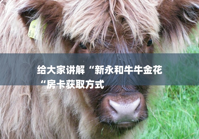 给大家讲解“新永和牛牛金花
“房卡获取方式 给大家讲解“新永和牛牛金花
“房卡获取方式