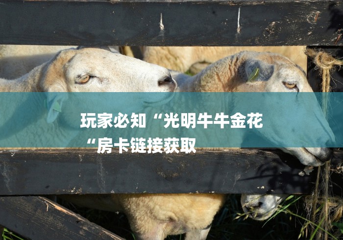 房卡必备教程“
牛至尊牛牛金花“哪里买房卡获取链接 房卡必备教程“
牛至尊牛牛金花“哪里买房卡获取链接