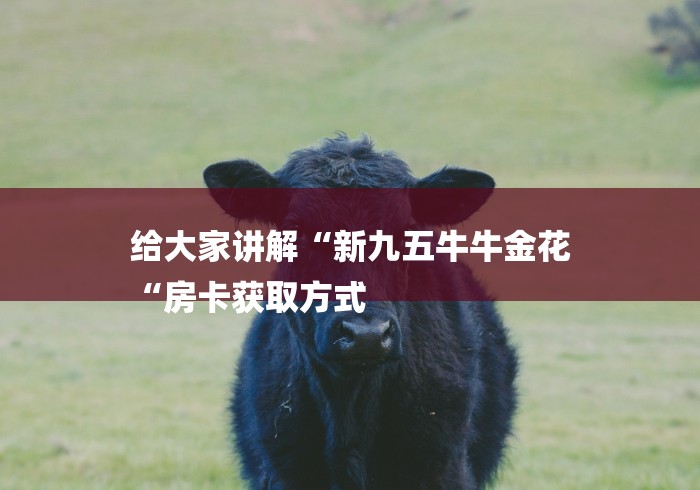 房卡必备教程“财神牛牛金花
“详细房卡使用教程