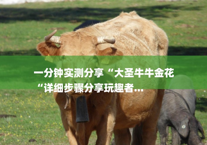 一分钟实测分享“大圣牛牛金花
“详细步骤分享玩趣者...