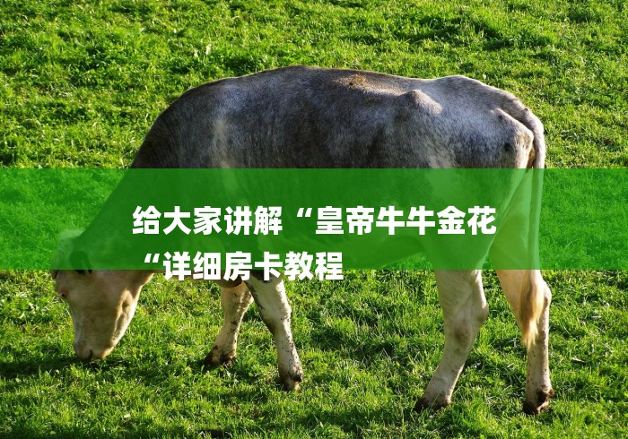 给大家讲解“皇帝牛牛金花
“详细房卡教程