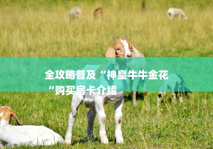 全攻略普及“神皇牛牛金花
“购买房卡介绍