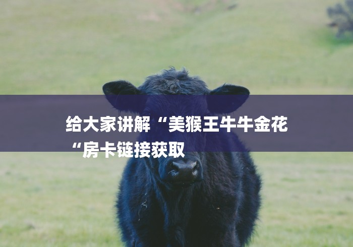 给大家讲解“美猴王牛牛金花
“房卡链接获取