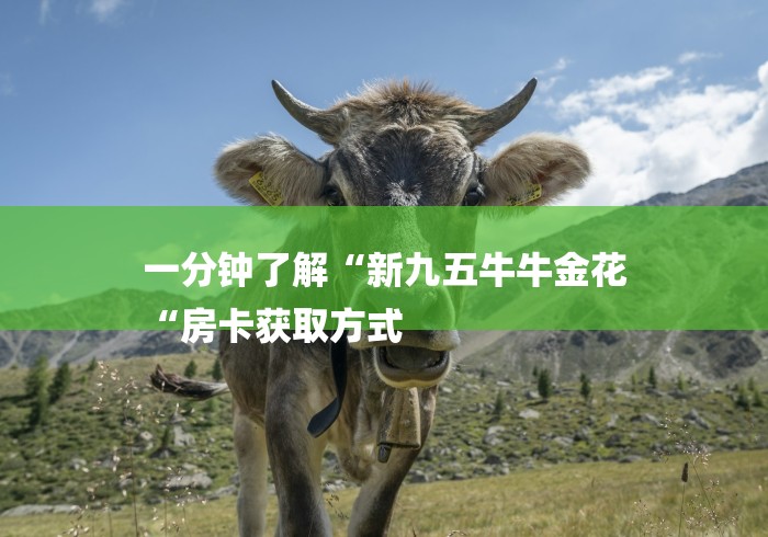 实测房卡教程“新永和牛牛金花
“详细房卡怎么购买教程 实测房卡教程“新永和牛牛金花
“详细房卡怎么购买教程