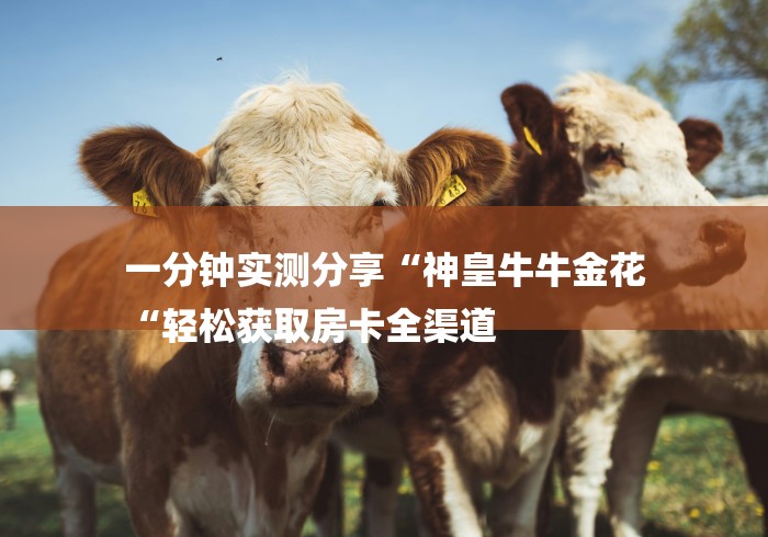 一分钟实测分享“神皇牛牛金花
“轻松获取房卡全渠道
