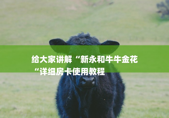 给大家讲解“新永和牛牛金花
“详细房卡使用教程