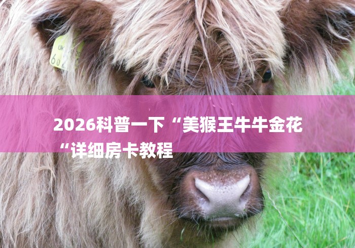2026科普一下“美猴王牛牛金花
“详细房卡教程 2026科普一下“美猴王牛牛金花
“详细房卡教程