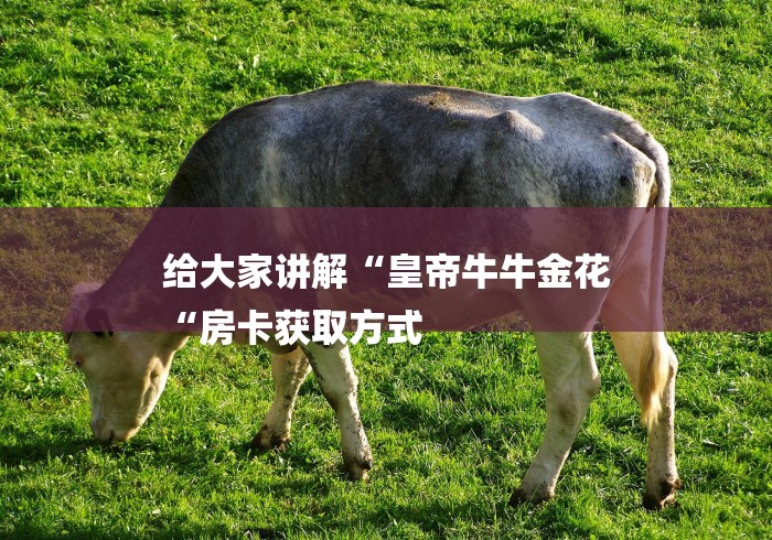 给大家讲解“皇帝牛牛金花
“房卡获取方式 
