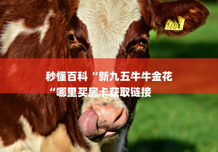 秒懂百科“新九五牛牛金花
“哪里买房卡获取链接