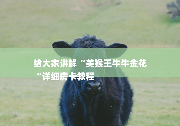 给大家讲解“美猴王牛牛金花
“详细房卡教程