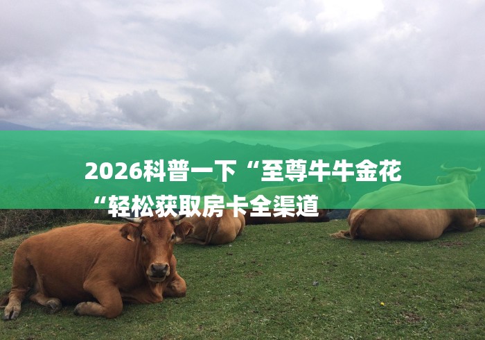 2026科普一下“至尊牛牛金花
“轻松获取房卡全渠道 2026科普一下“至尊牛牛金花
“轻松获取房卡全渠道