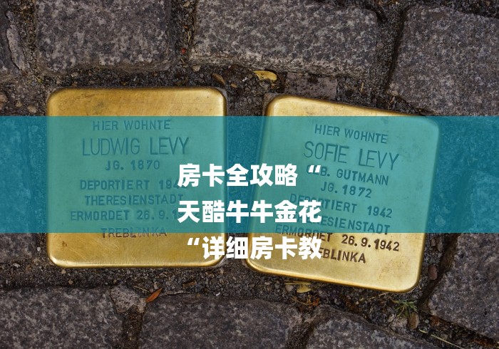 房卡全攻略“
天酷牛牛金花
“详细房卡教