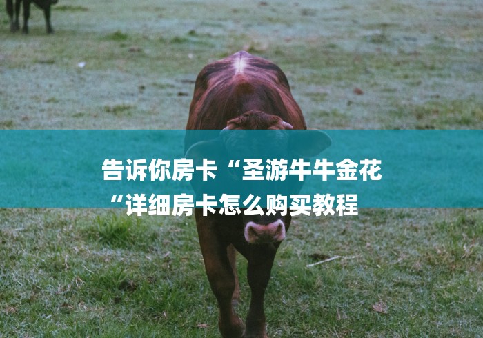 告诉你房卡“圣游牛牛金花
“详细房卡怎么购买教程 告诉你房卡“圣游牛牛金花
“详细房卡怎么购买教程