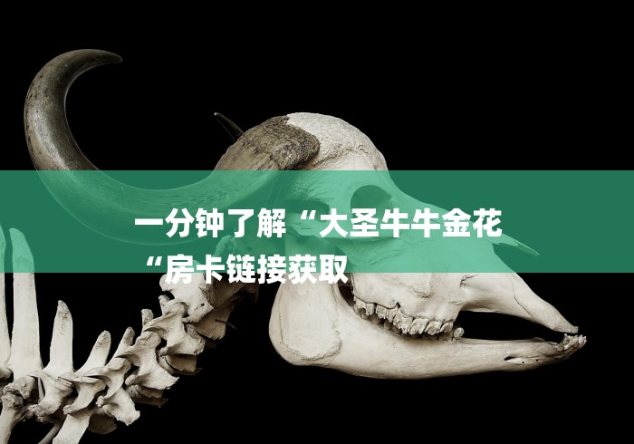 一分钟了解“大圣牛牛金花
“房卡链接获取 一分钟了解“大圣牛牛金花
“房卡链接获取