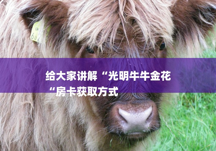 给大家讲解“光明牛牛金花
“房卡获取方式