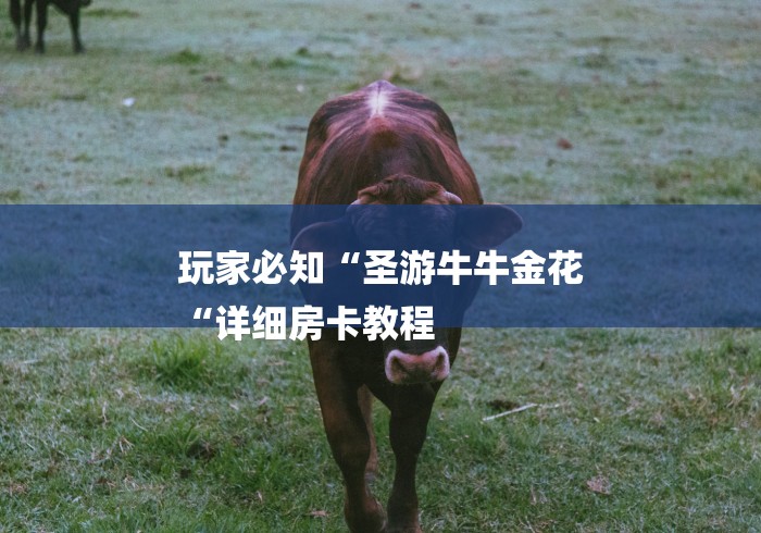 玩家必知“圣游牛牛金花
“详细房卡教程