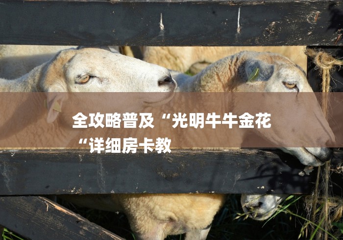 全攻略普及“光明牛牛金花
“详细房卡教