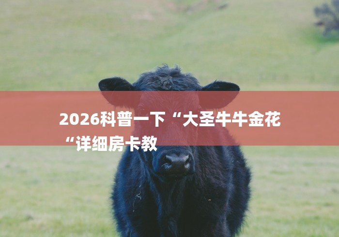 2026科普一下“大圣牛牛金花
“详细房卡教