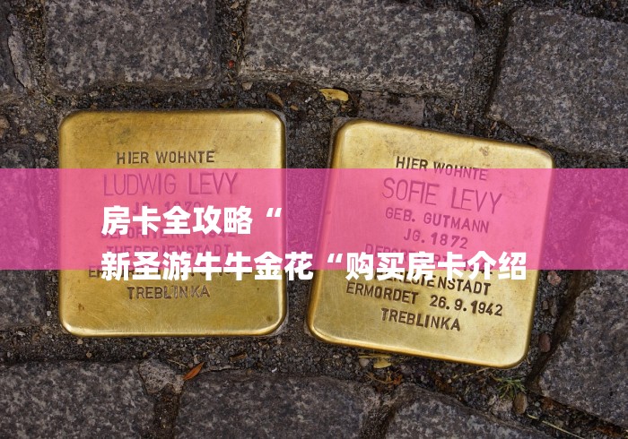 房卡全攻略“
新圣游牛牛金花“购买房卡介绍