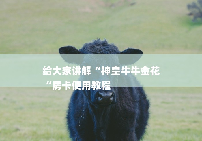 给大家讲解“神皇牛牛金花
“房卡使用教程