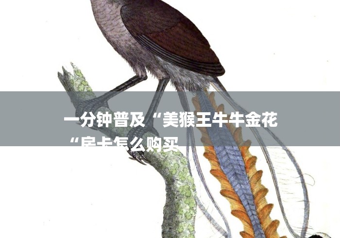 一分钟普及“美猴王牛牛金花
“房卡怎么购买 一分钟普及“美猴王牛牛金花
“房卡怎么购买