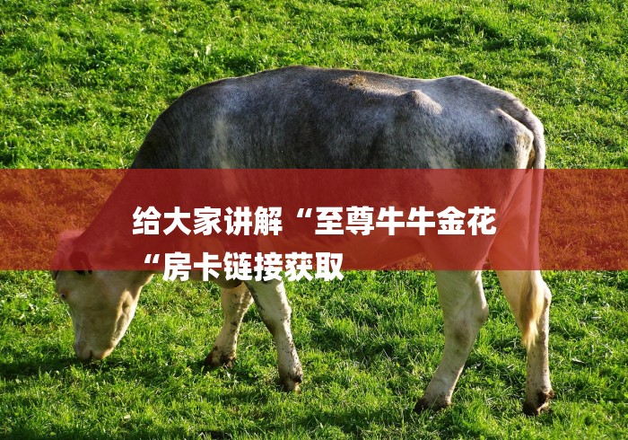 给大家讲解“至尊牛牛金花
“房卡链接获取 给大家讲解“至尊牛牛金花
“房卡链接获取