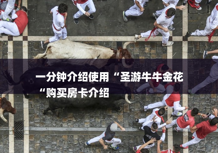 一分钟介绍使用“圣游牛牛金花
“购买房卡介绍