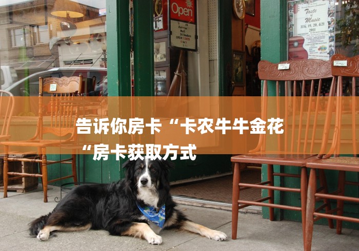 告诉你房卡“卡农牛牛金花
“房卡获取方式 告诉你房卡“卡农牛牛金花
“房卡获取方式