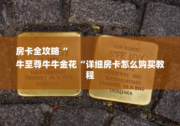 房卡全攻略“
牛至尊牛牛金花“详细房卡怎么购买教程 房卡全攻略“
牛至尊牛牛金花“详细房卡怎么购买教程