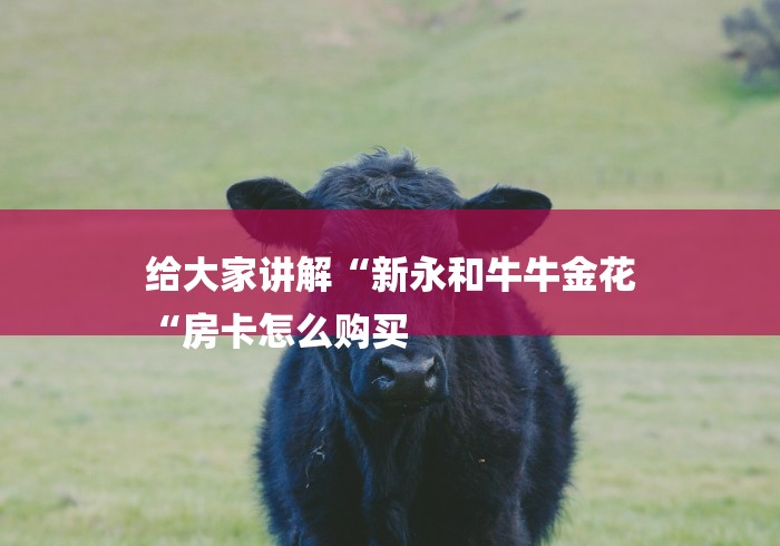 给大家讲解“新永和牛牛金花
“房卡怎么购买 给大家讲解“新永和牛牛金花
“房卡怎么购买