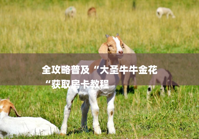 全攻略普及“大圣牛牛金花
“获取房卡教程