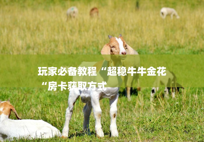 玩家必备教程“超稳牛牛金花
“房卡获取方式