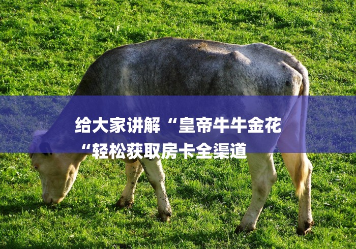 给大家讲解“皇帝牛牛金花
“轻松获取房卡全渠道