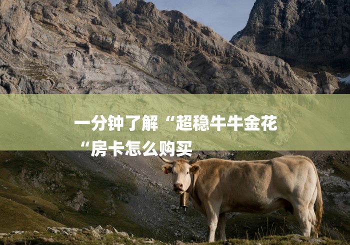 一分钟了解“超稳牛牛金花
“房卡怎么购买 一分钟了解“超稳牛牛金花
“房卡怎么购买