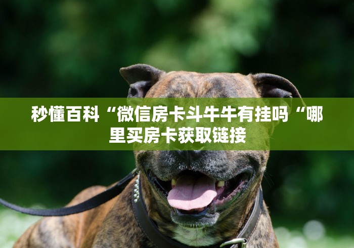 秒懂百科“微信房卡斗牛牛有挂吗“哪里买房卡获取链接