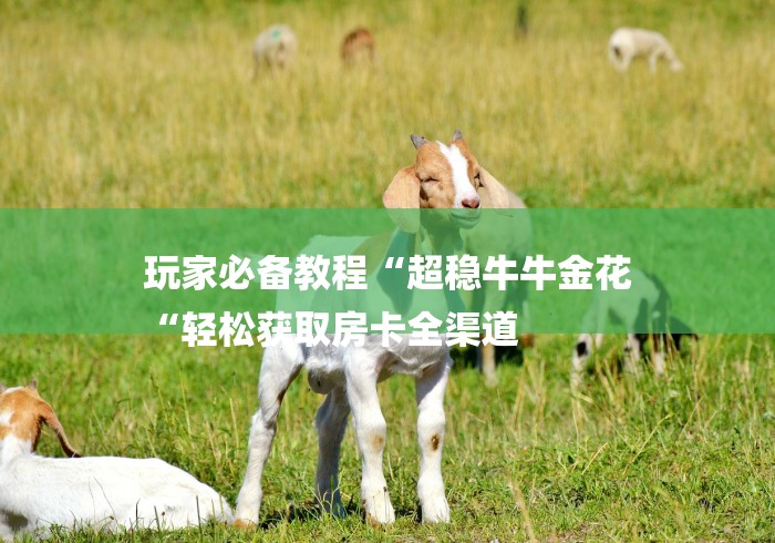 玩家必备教程“超稳牛牛金花
“轻松获取房卡全渠道 玩家必备教程“超稳牛牛金花
“轻松获取房卡全渠道