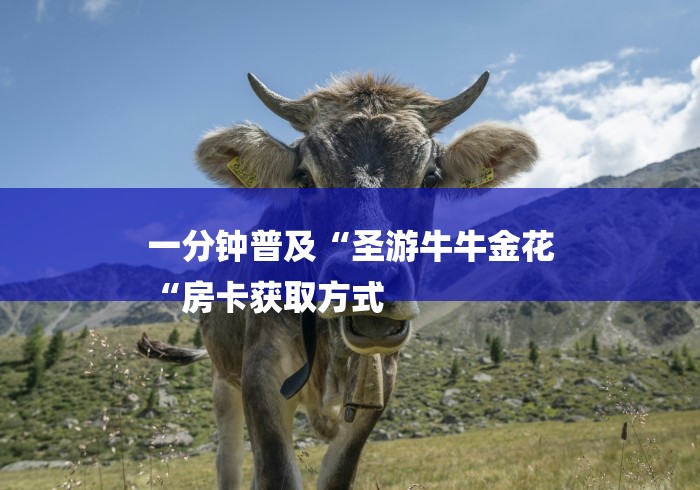 一分钟普及“圣游牛牛金花
“房卡获取方式 