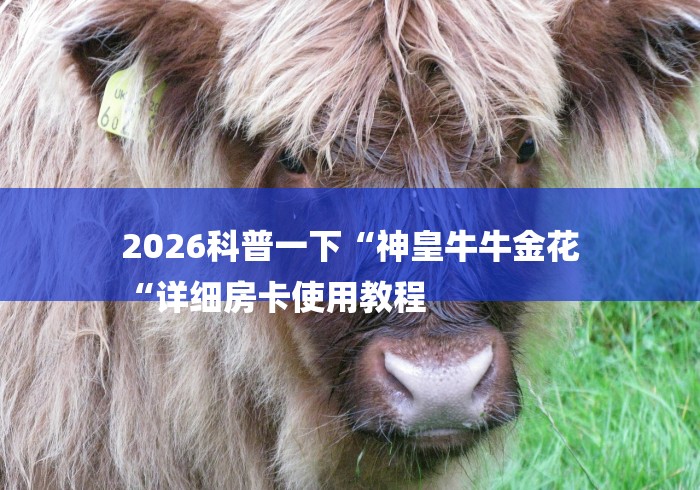 2026科普一下“神皇牛牛金花
“详细房卡使用教程 2026科普一下“神皇牛牛金花
“详细房卡使用教程