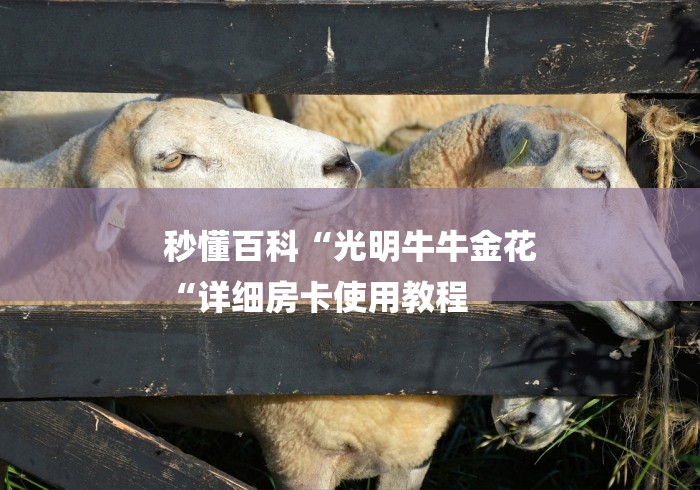 秒懂百科“光明牛牛金花
“详细房卡使用教程